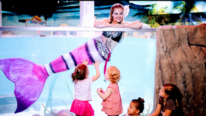 SeaQuest Fort Worth SeaQuest Fort Worth